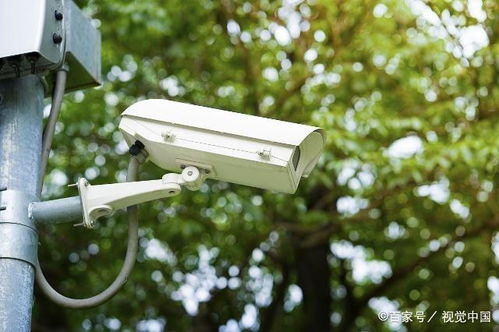 如何选择与配置专业的安防监控系统与服务